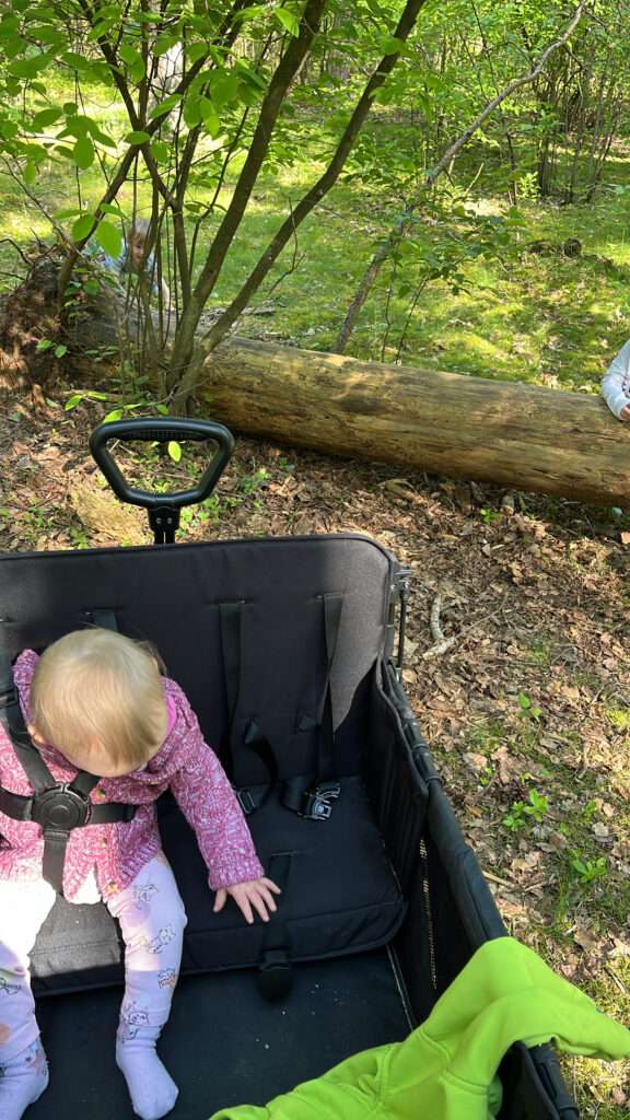 Kindertagespflege im Wald mit Bollerwagen